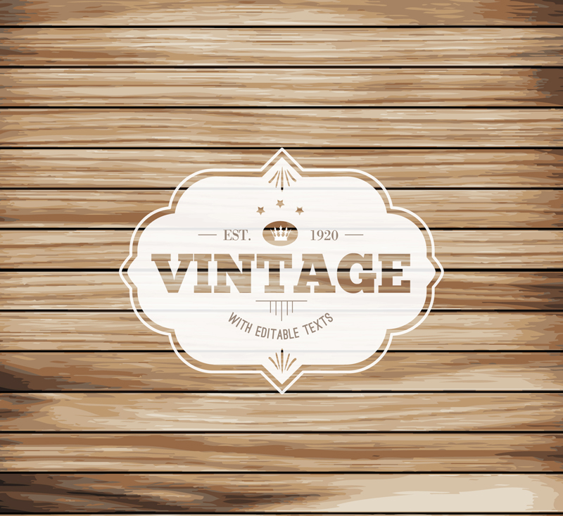 Creative wood background vector
