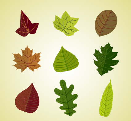 9 color leaves design vector material