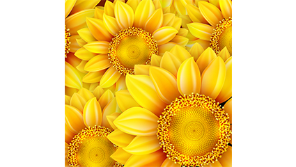 Golden Sunflower seamless background vector