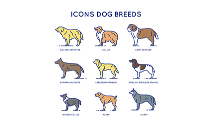 9 Creative Pet dog icon vector material