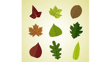 9 color leaves design vector material