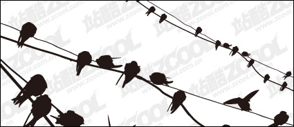 Vector rest of the bird material