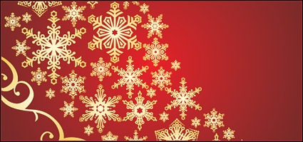 Snowflake pattern vector