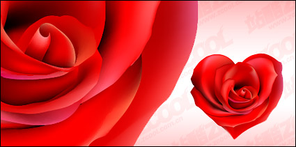Red rose heart-shaped vector material