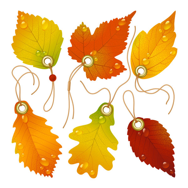 Exquisite maple leaf bookmarks vector of material
