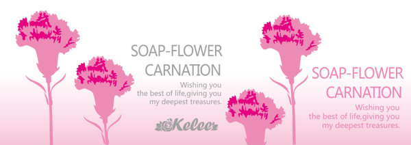 Carnation banner vector material