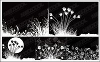 flowers and black-and-white vector