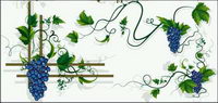 Grapes, grape vines, grape leaf border vector material