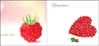 Romantic berries vector of material