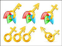 Stereoscopic gold key to male and female symbol Vector