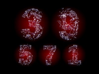 Broken glass words -2