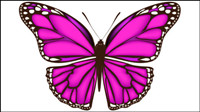 Beautiful butterfly material 02-- vector material