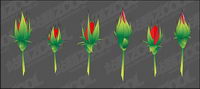 Rose Bud vector