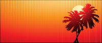 Sunset coconut vector video material
