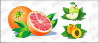 Oranges, apples, Peach vector material