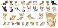 lovely small cat vector material