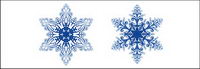 beautiful snowflakes vector material