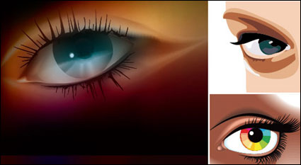 Female glasses Vector