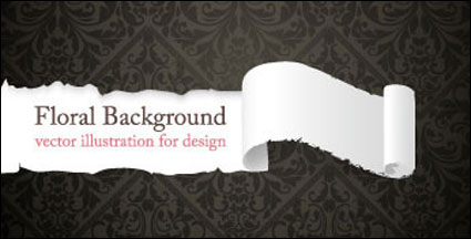 European gorgeous shading vector