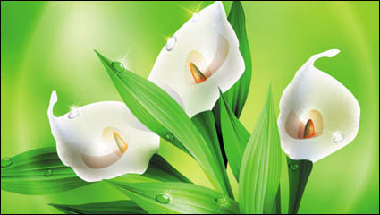 Beautiful flowers 02 - vector