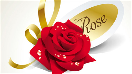 Beautiful roses 02 - vector material