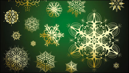 Beautiful snowflake pattern 04 - vector material