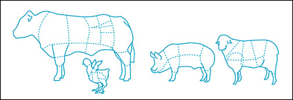 Distribution of consumption of chicken