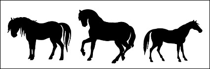 Horse Pictures vector material