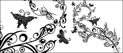 Butterfly and patterns  Vector